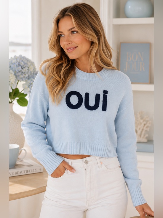 Sincerly Jules Sweaters - NWT Women’s Medium | Sincerely Jules | Light Blue Oui Cropped Knit Sweater